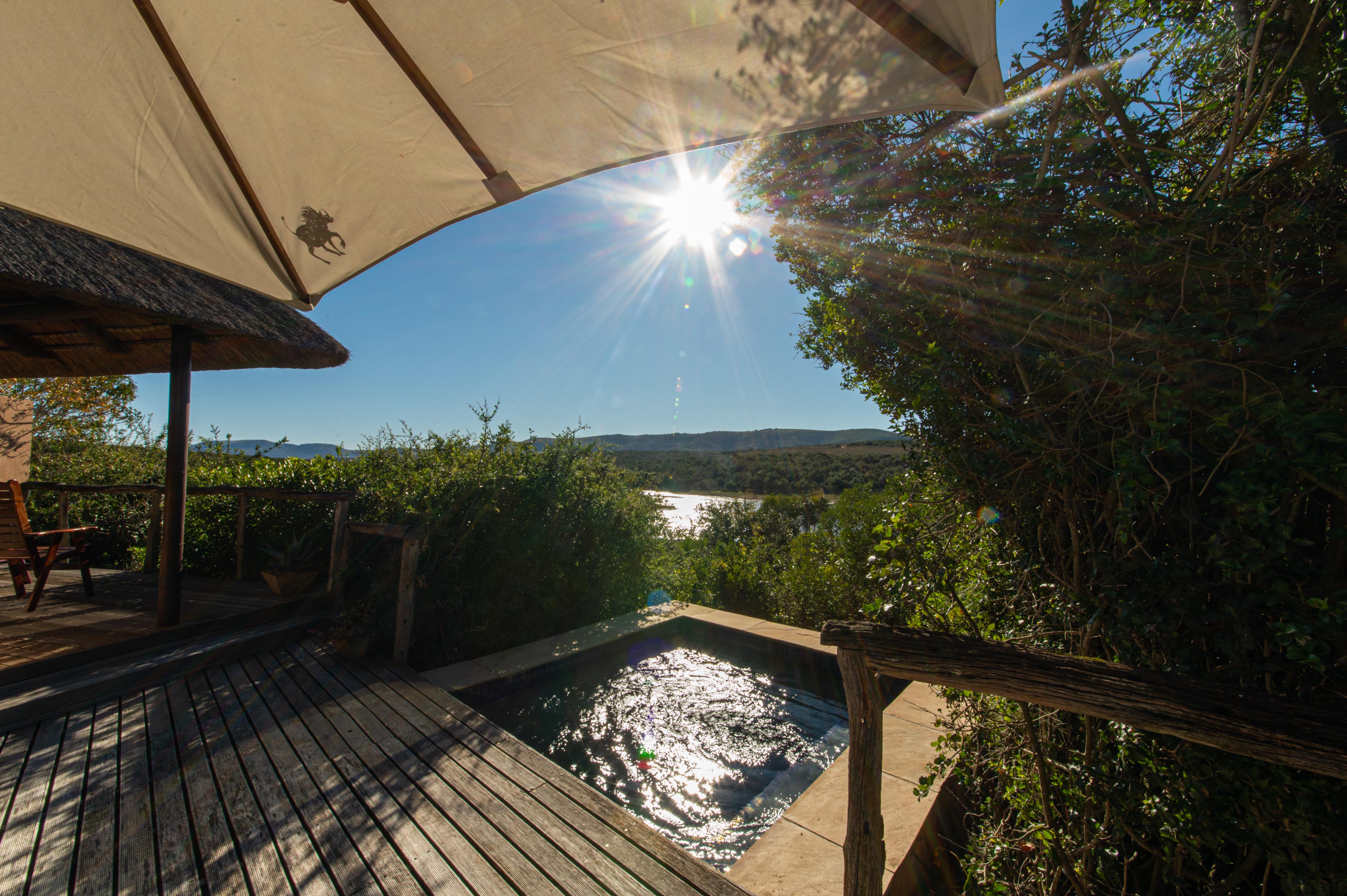 Pumba Private Game Reserve Port Elizabeth Exterior photo