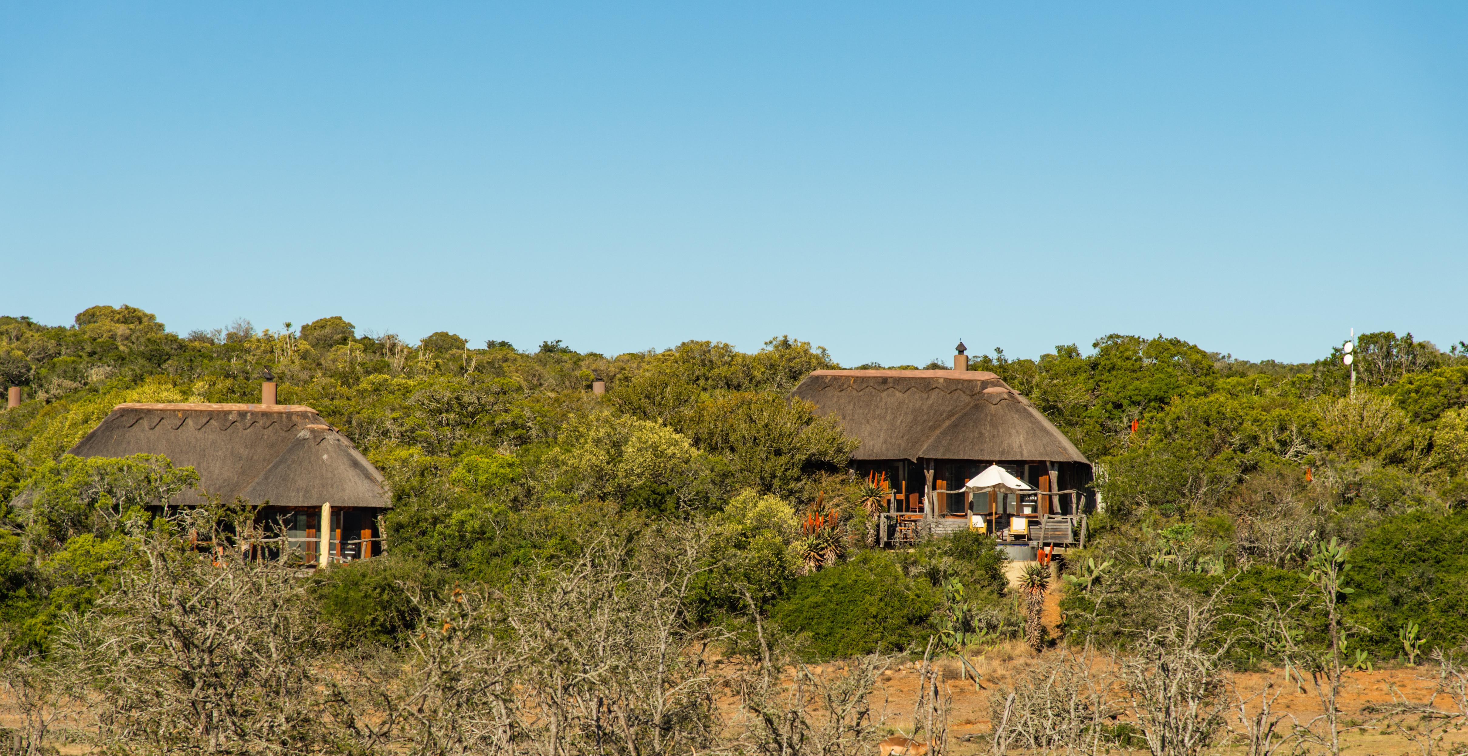 Pumba Private Game Reserve Port Elizabeth Exterior photo