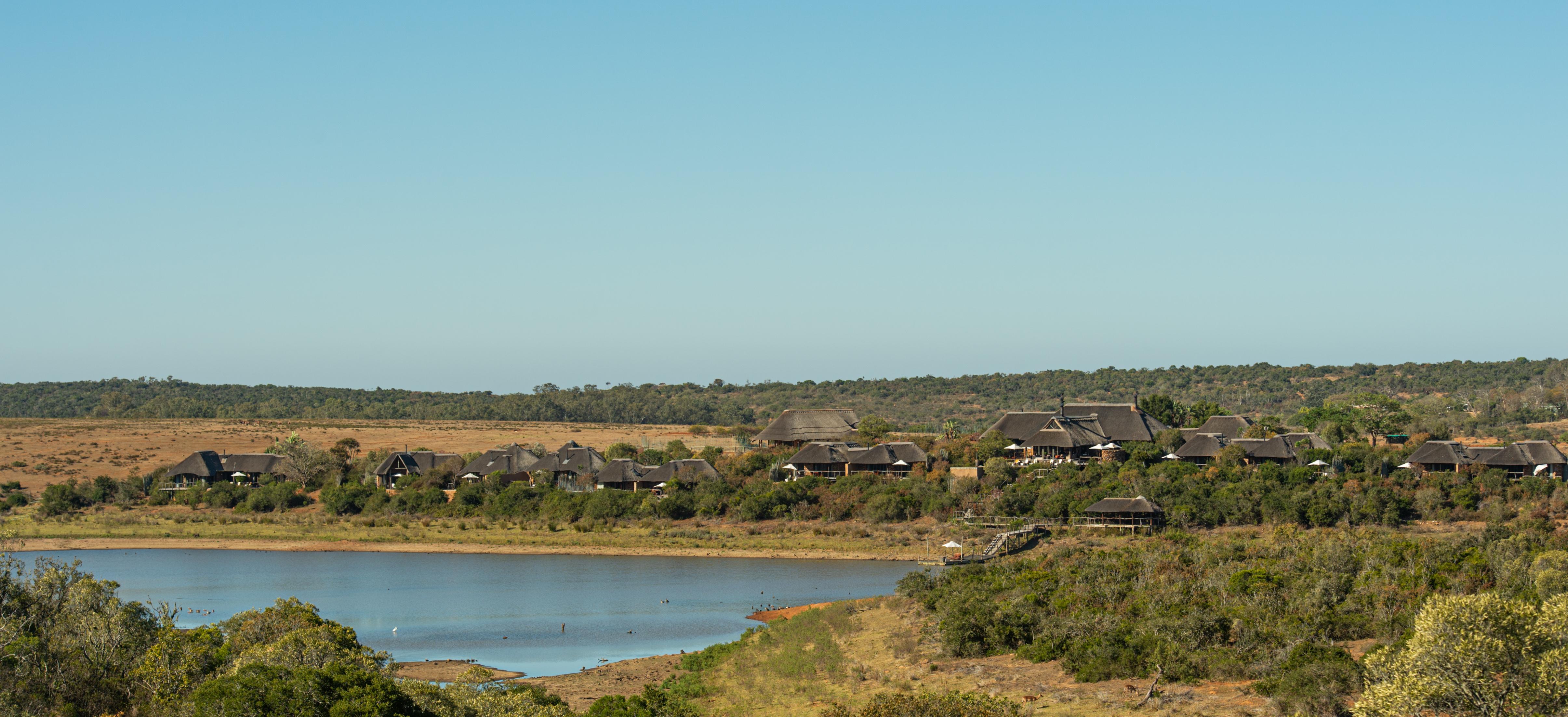 Pumba Private Game Reserve Port Elizabeth Exterior photo