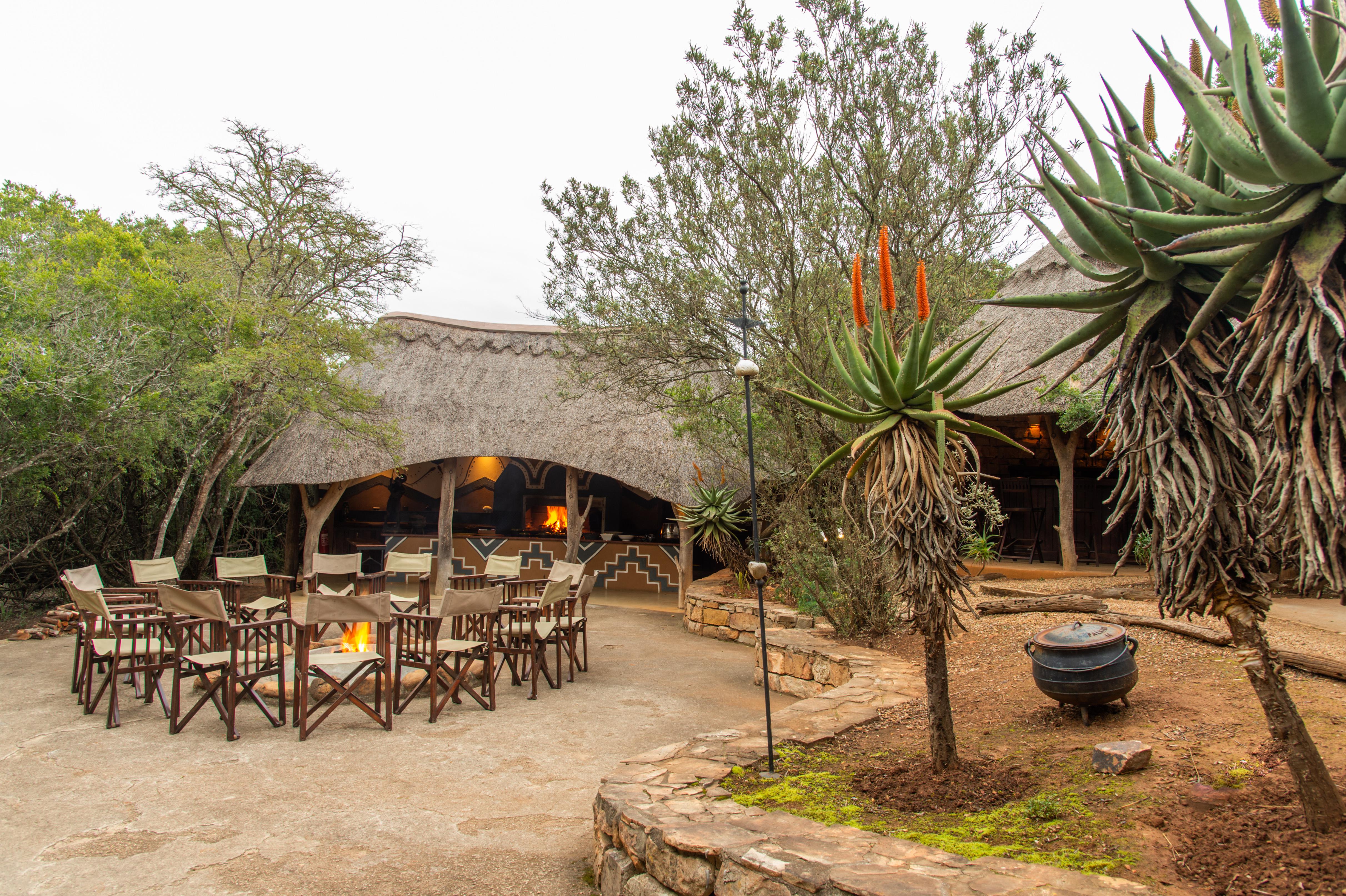 Pumba Private Game Reserve Port Elizabeth Exterior photo