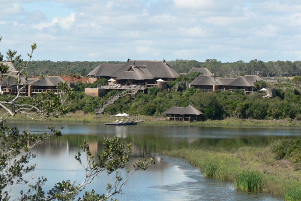 Pumba Private Game Reserve Port Elizabeth Exterior photo
